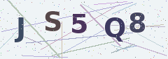 CAPTCHA characters to type